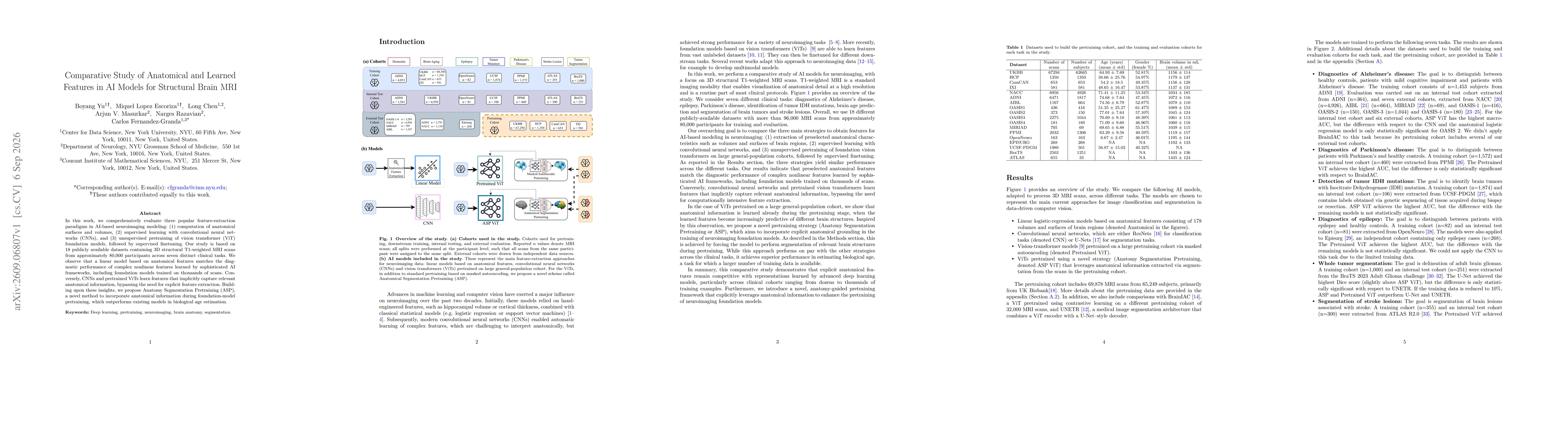 Thumbnail for Comparative Study of Anatomical and Learned Features in AI Models for Structural Brain MRI
