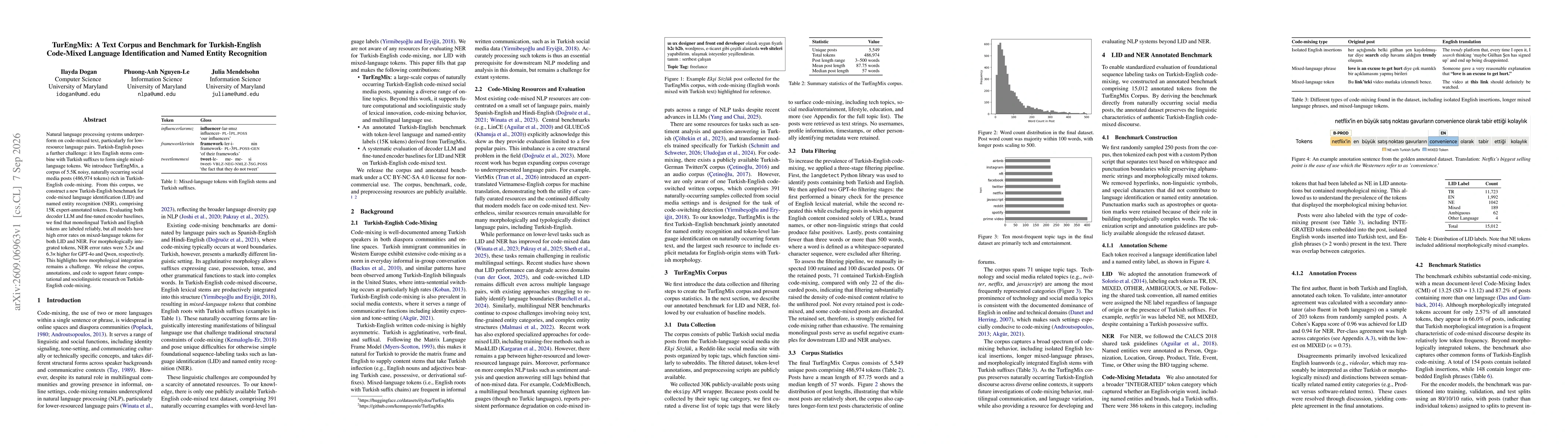 Thumbnail for TurEngMix: A Text Corpus and Benchmark for Turkish-English Code-Mixed Language Identification and Named Entity Recognition