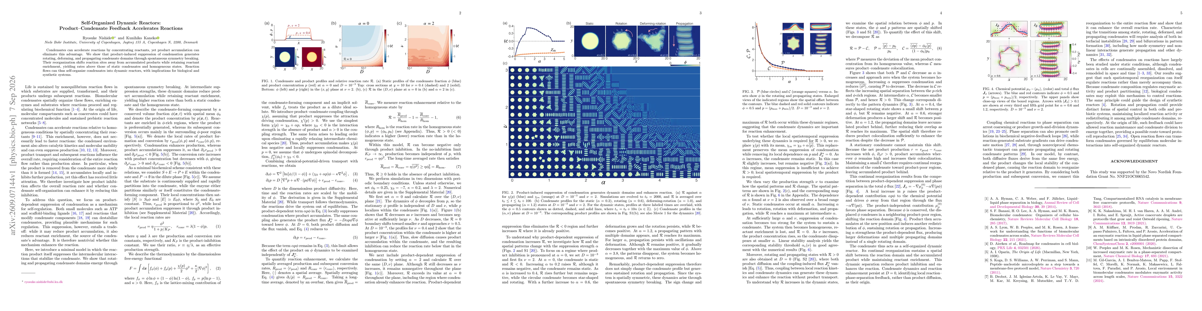 Thumbnail for Self-Organized Dynamic Reactors: Product-Condensate Feedback Accelerates Reactions