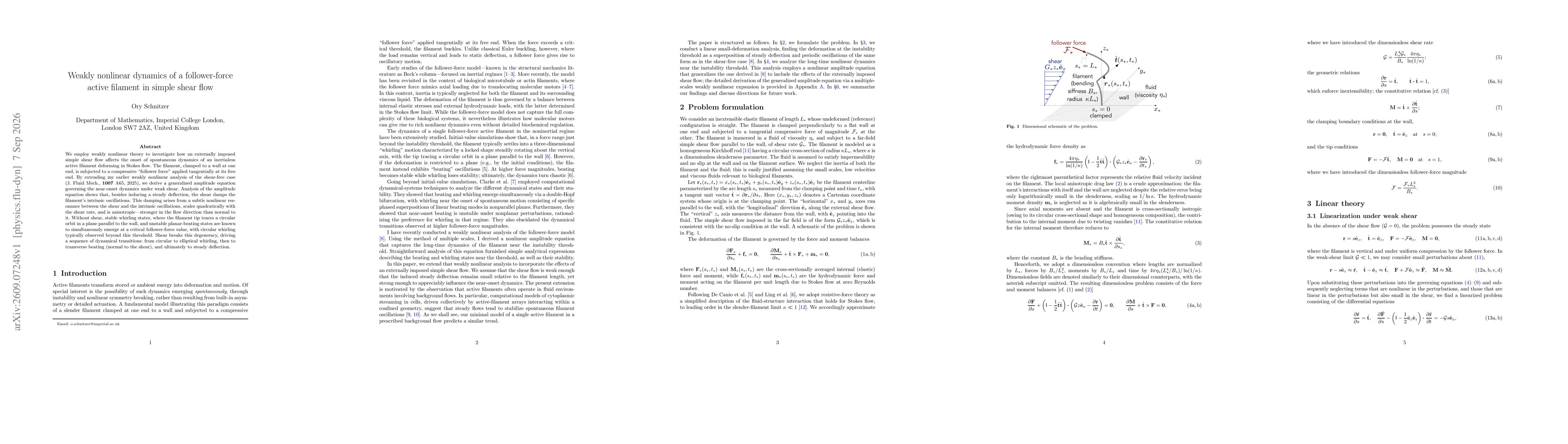Thumbnail for Weakly nonlinear dynamics of a follower-force active filament in simple shear flow