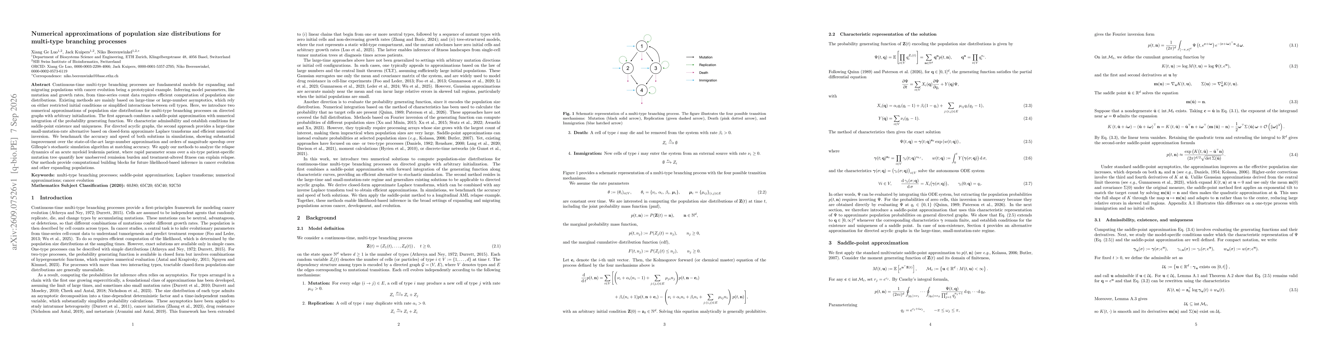 Thumbnail for Numerical approximations of population size distributions for multi-type branching processes