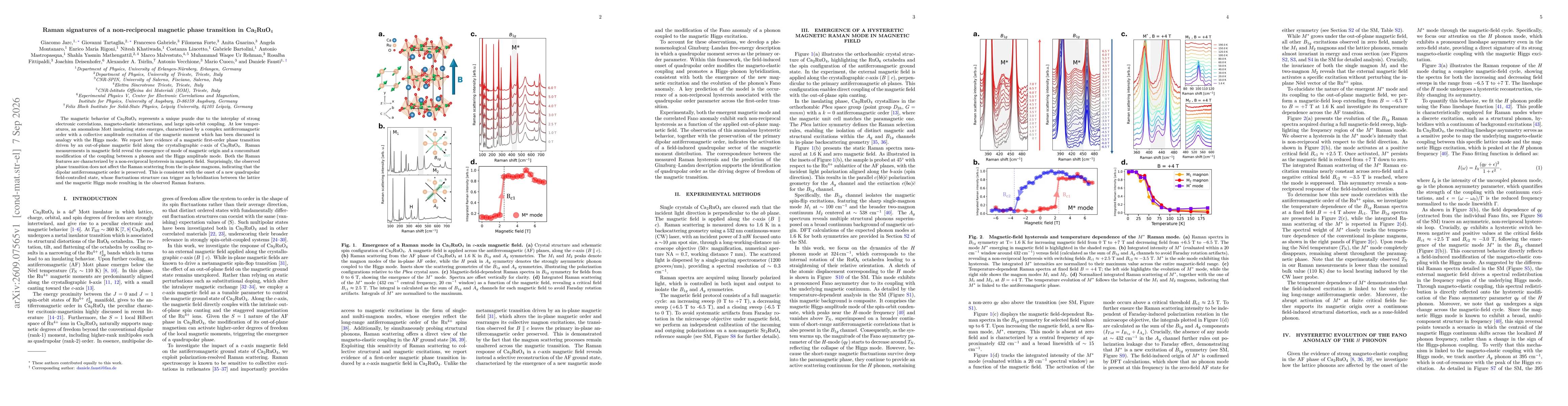 Thumbnail for Raman signatures of a non-reciprocal magnetic phase transition in Ca$_2$RuO$_4$