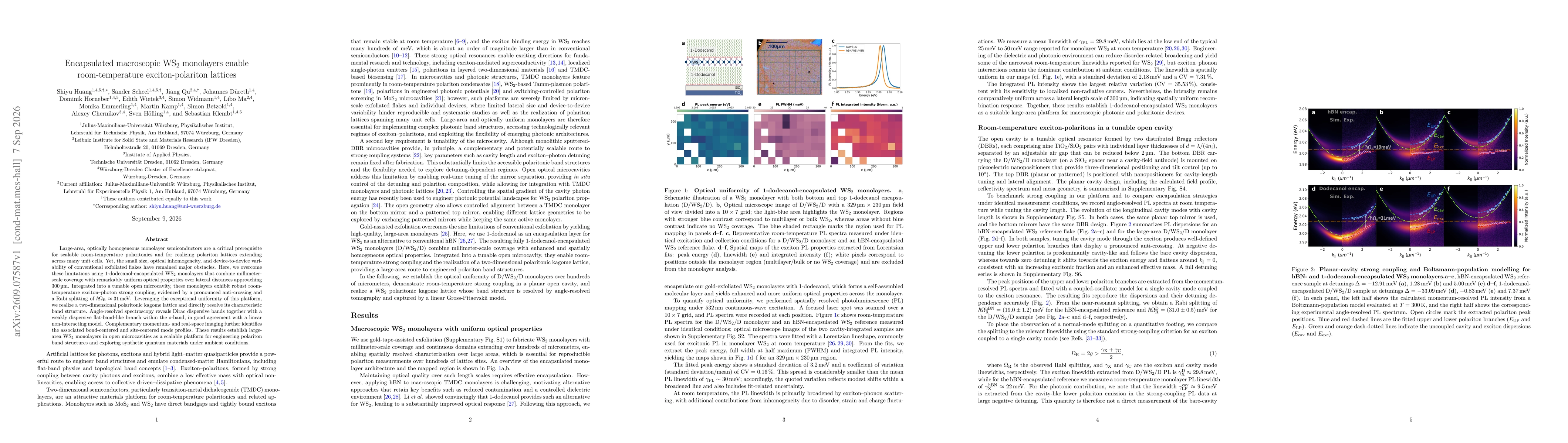 Thumbnail for Encapsulated macroscopic WS$_2$ monolayers enable room-temperature exciton-polariton lattices