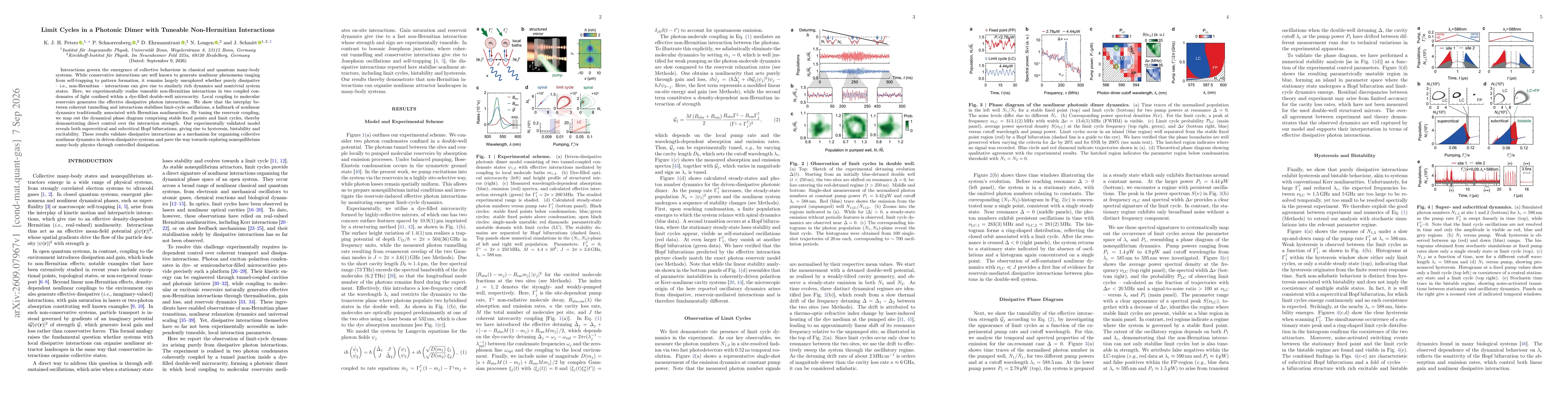 Thumbnail for Limit Cycles in a Photonic Dimer with Tuneable Non-Hermitian Interactions