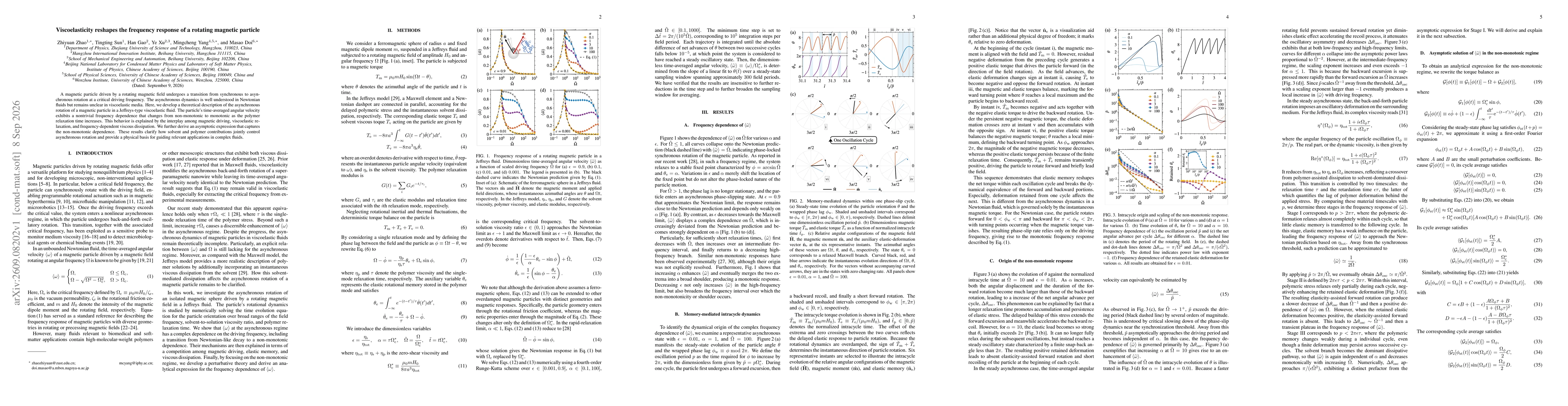 Thumbnail for Viscoelasticity reshapes the frequency response of a rotating magnetic particle