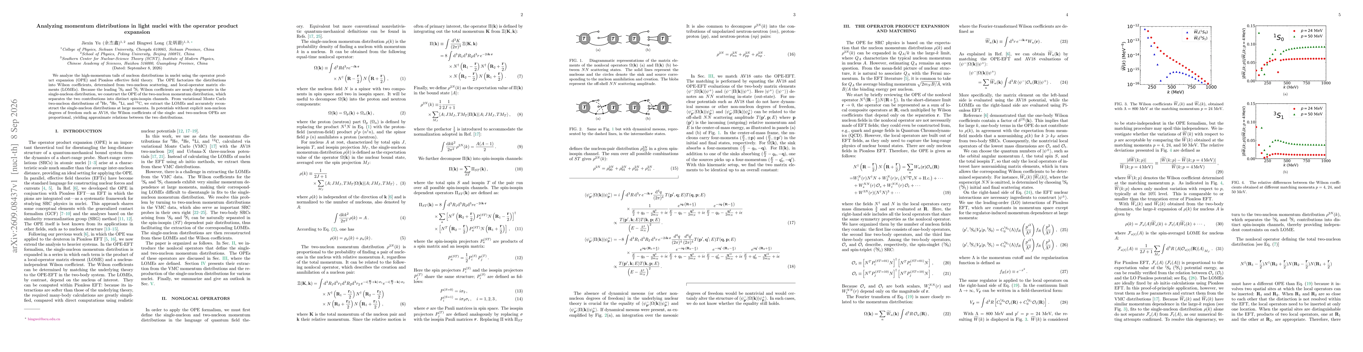 Thumbnail for Analyzing momentum distributions in light nuclei with the operator product expansion