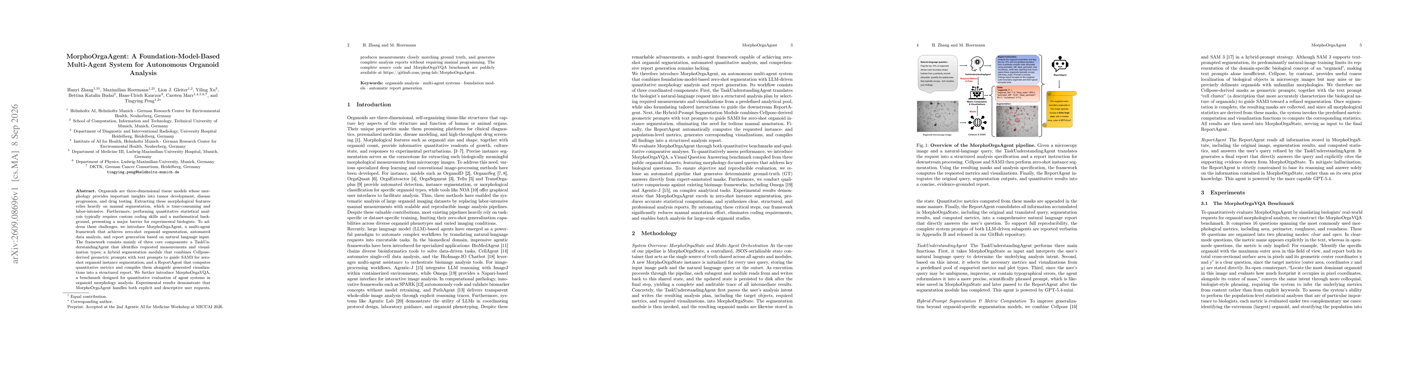 Thumbnail for MorphoOrgaAgent: A Foundation-Model-Based Multi-Agent System for Autonomous Organoid Analysis