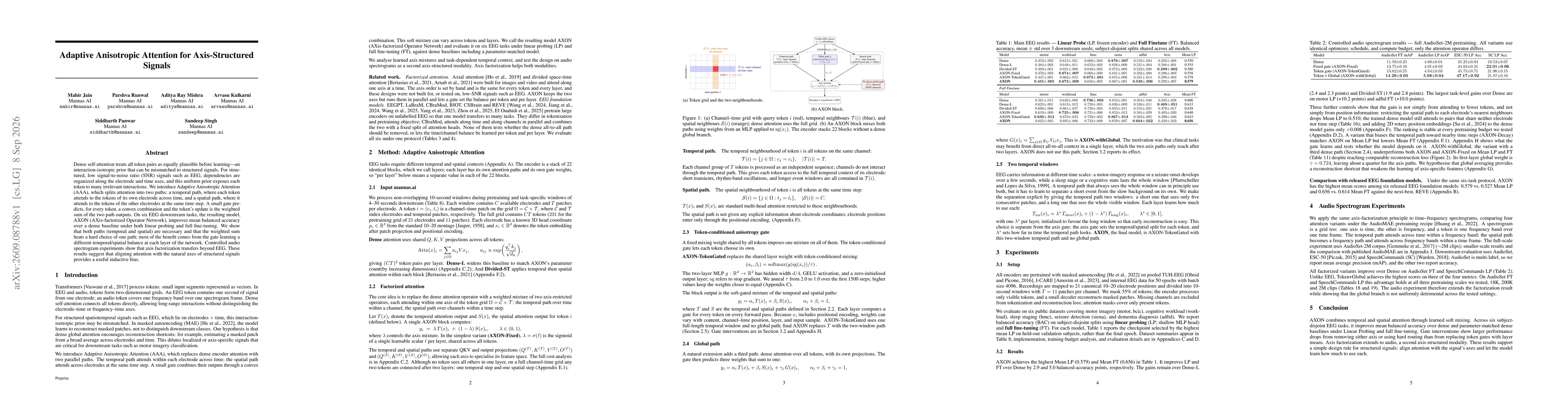 Thumbnail for Adaptive Anisotropic Attention for Axis-Structured Signals