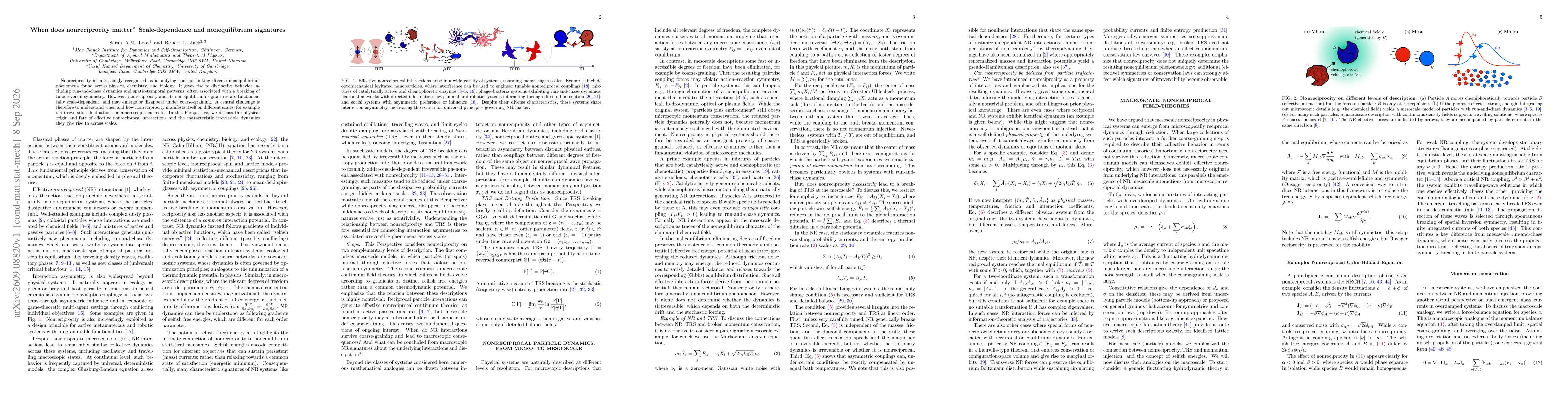 Thumbnail for When does nonreciprocity matter? Scale-dependence and nonequilibrium signatures