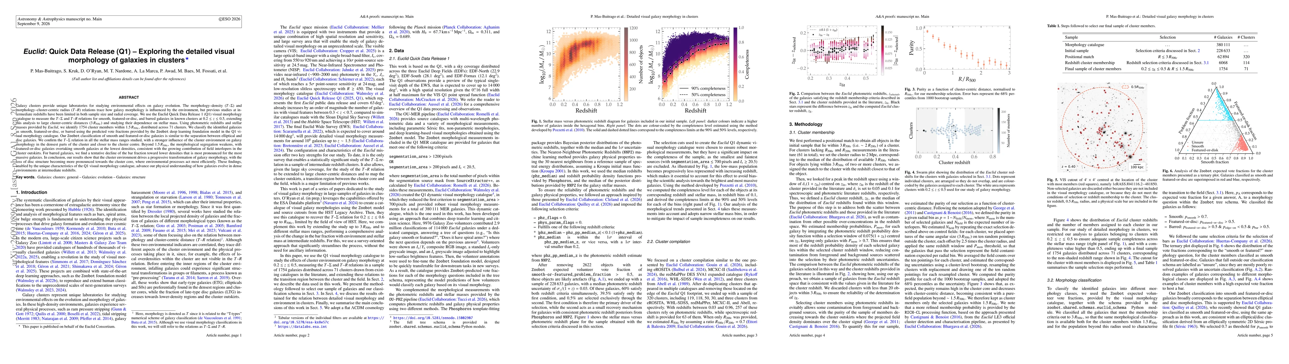 Thumbnail for Euclid: Quick Data Release (Q1) -- Exploring the detailed visual morphology of galaxies in clusters