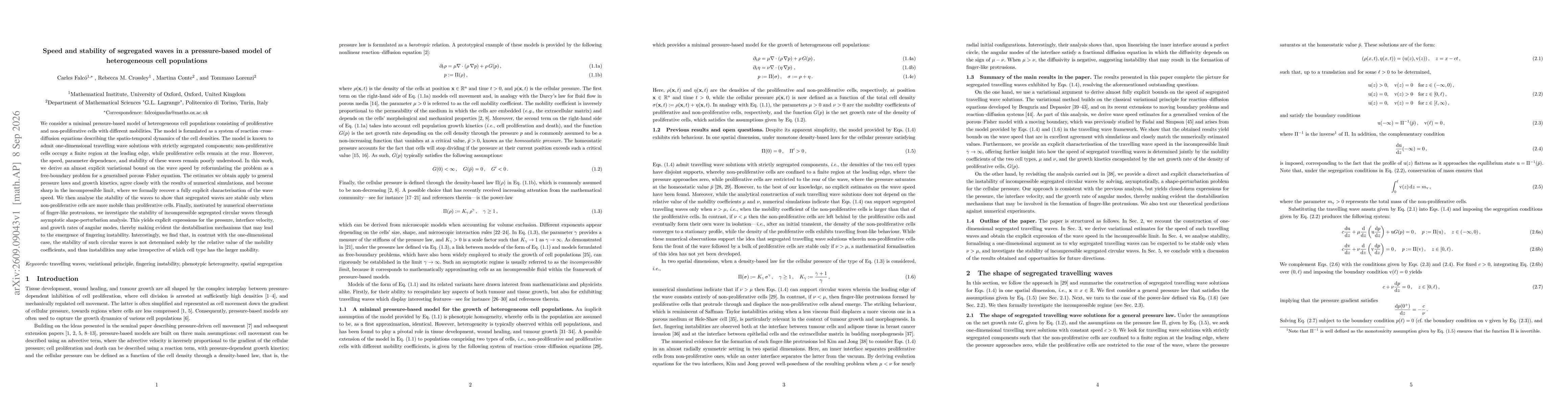 Thumbnail for Speed and stability of segregated waves in a pressure-based model of heterogeneous cell populations