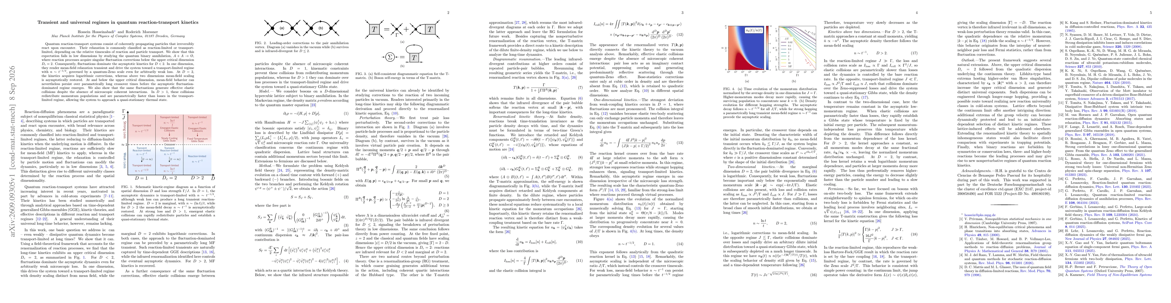 Thumbnail for Transient and universal regimes in quantum reaction-transport kinetics