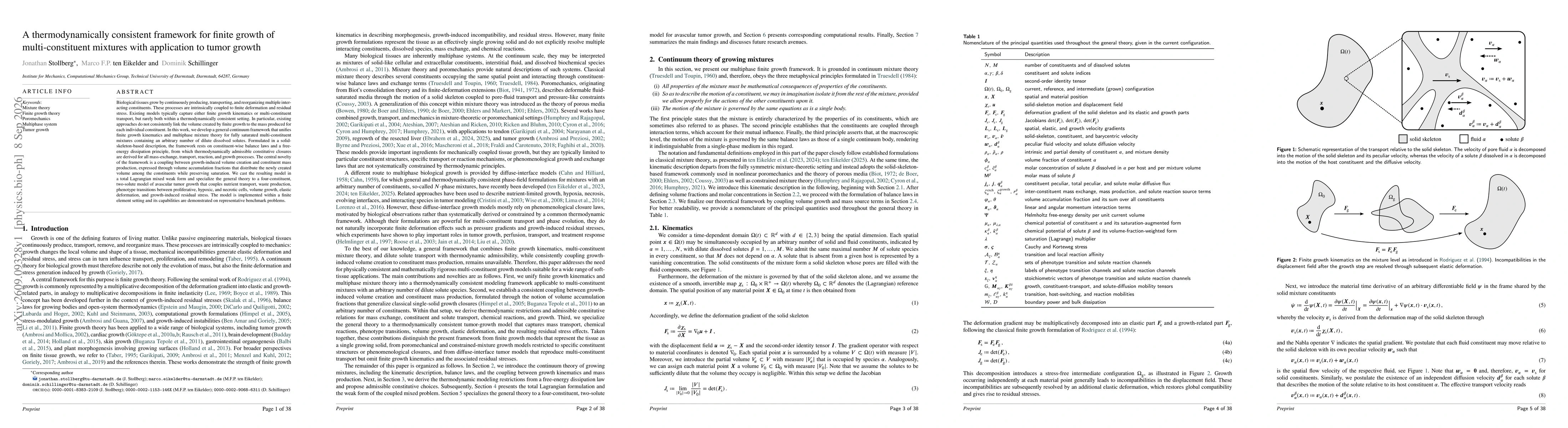 Thumbnail for A thermodynamically consistent framework for finite growth of multi-constituent mixtures with application to tumor growth