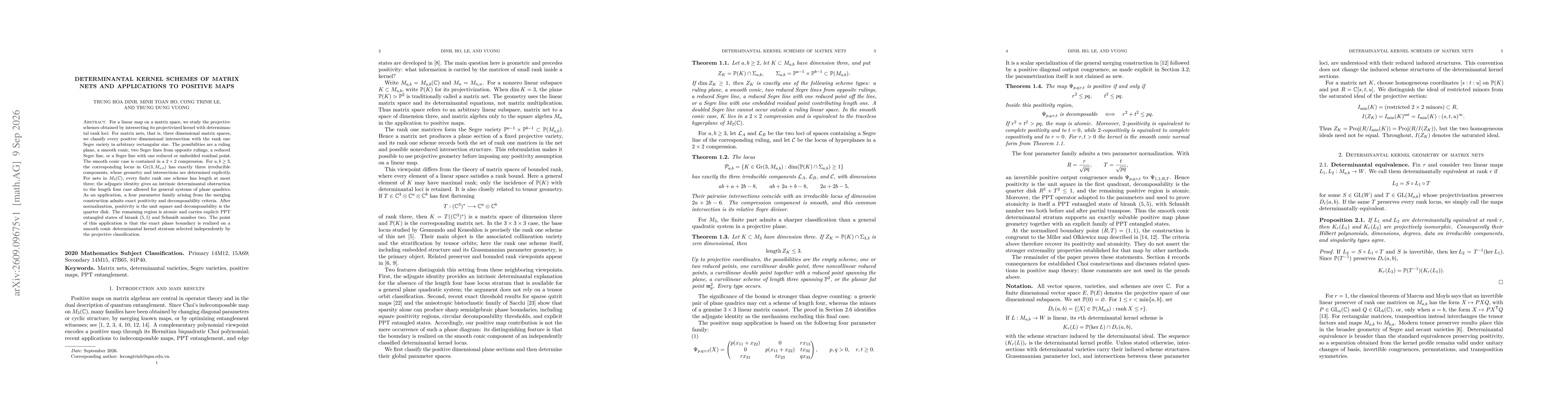 Thumbnail for Determinantal Kernel Schemes of Matrix Nets and Applications to Positive Maps