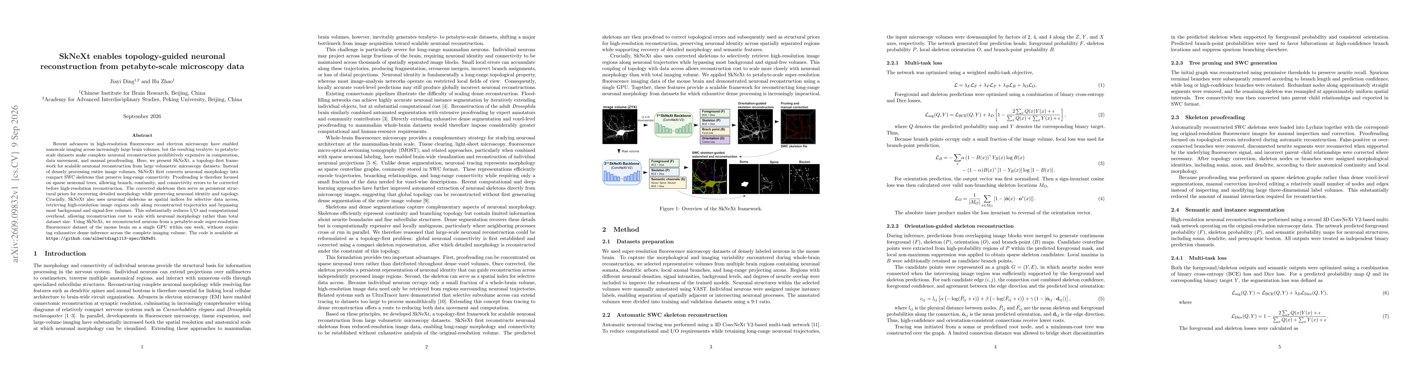 Thumbnail for SkNeXt enables topology-guided neuronal reconstruction from petabyte-scale microscopy data