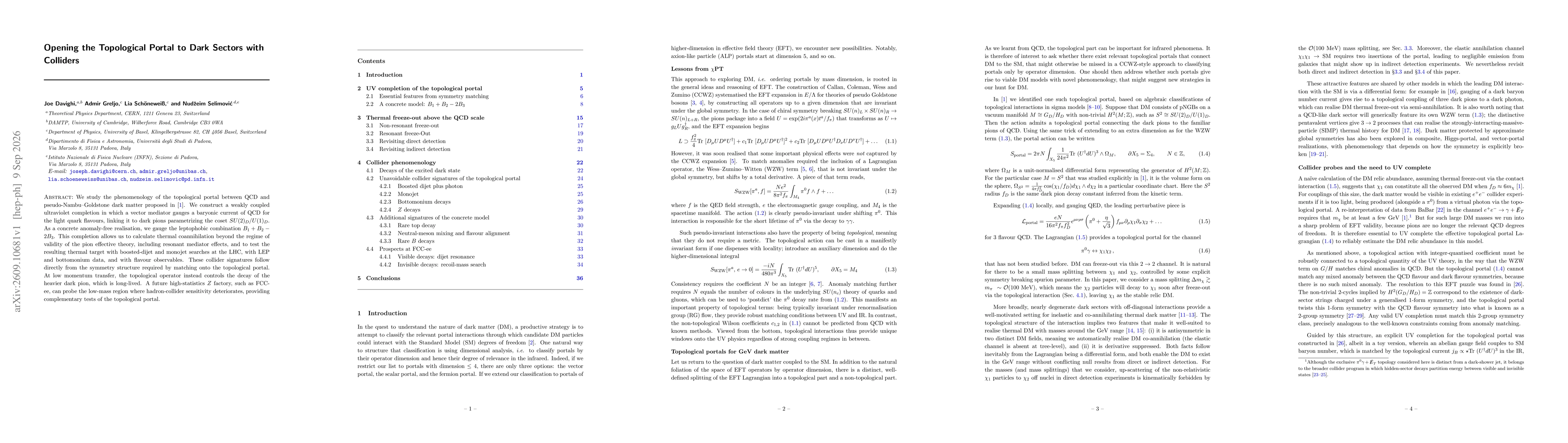 Thumbnail for Opening the Topological Portal to Dark Sectors with Colliders