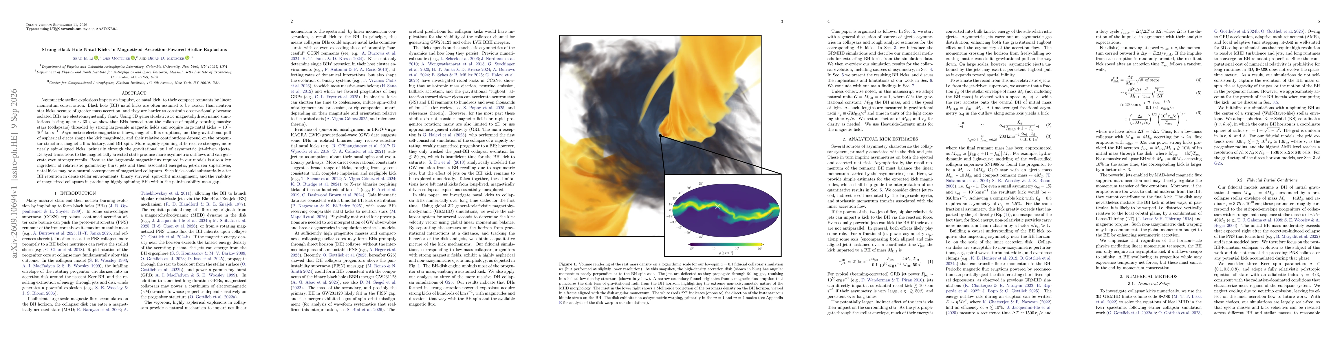 Thumbnail for Strong Black Hole Natal Kicks in Magnetized Accretion-Powered Explosions