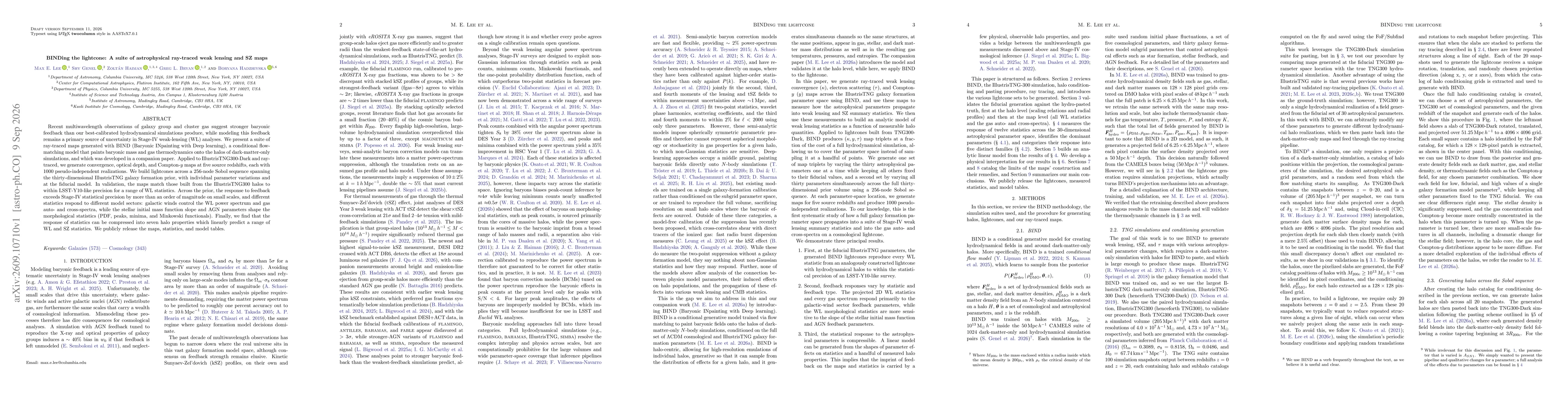 Thumbnail for BINDing the lightcone: A suite of astrophysical ray-traced weak lensing and SZ maps