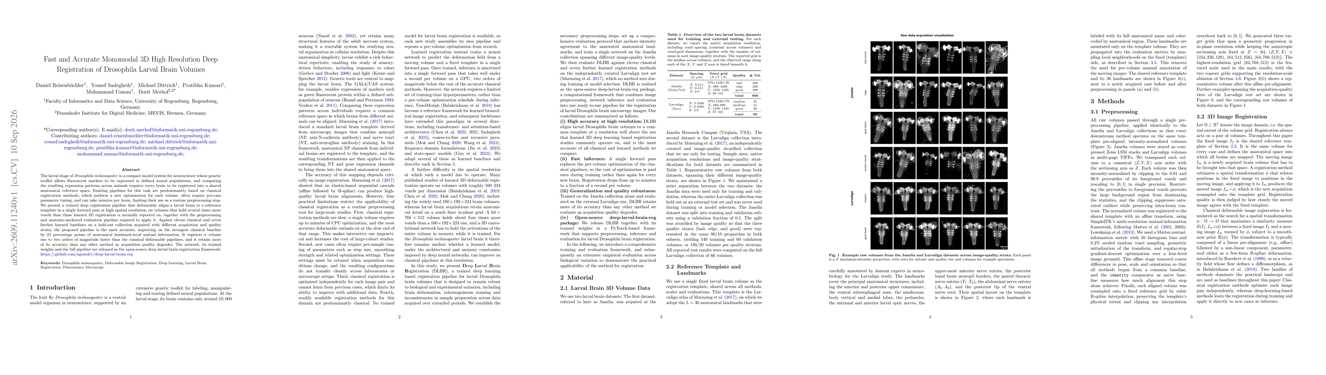 Thumbnail for Fast and Accurate Monomodal 3D High Resolution Deep Registration of Drosophila Larval Brain Volumes