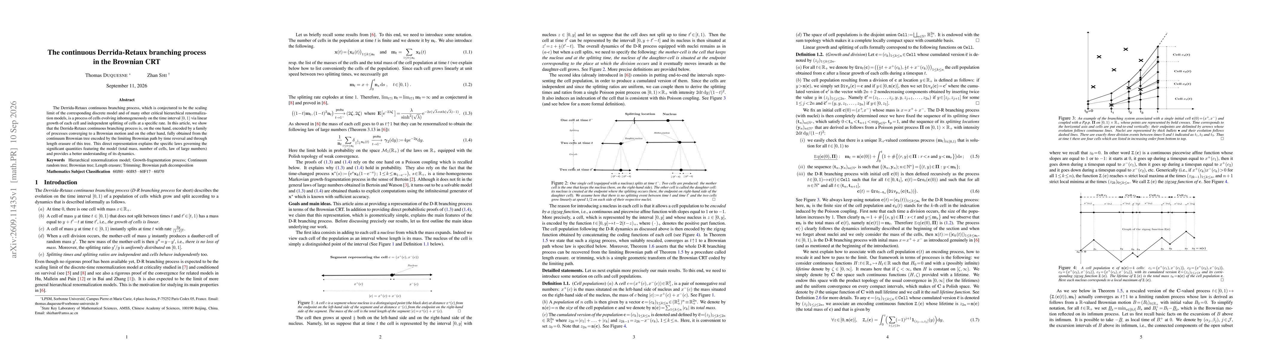 Thumbnail for The continuous Derrida-Retaux branching process in the Brownian CRT