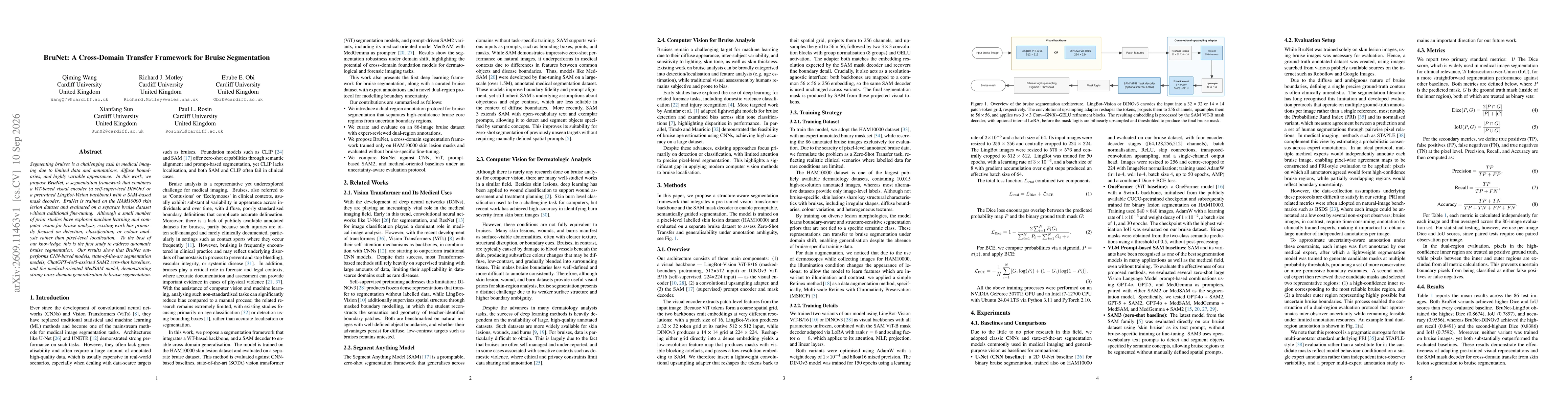 Thumbnail for BruNet: A Cross-Domain Transfer Framework for Bruise Segmentation