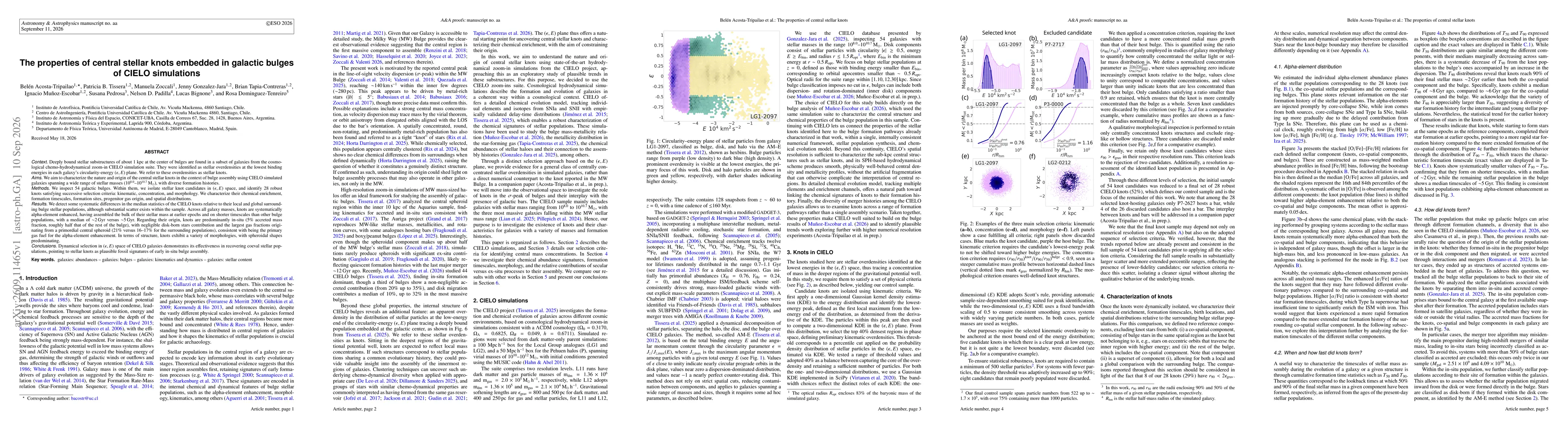 Thumbnail for The properties of central stellar knots embedded in galactic bulges of CIELO simulations