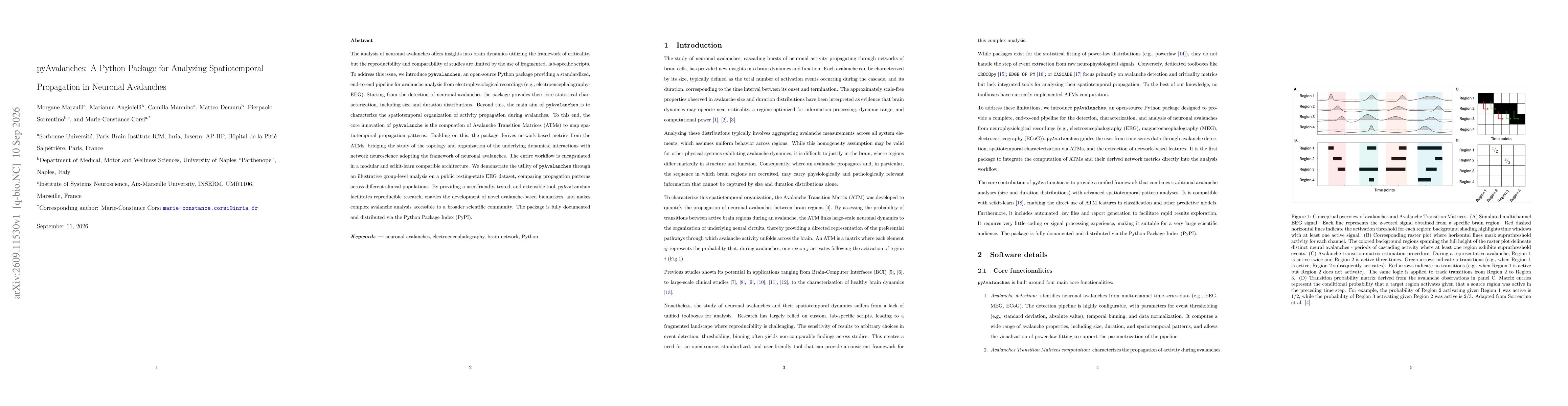Thumbnail for pyAvalanches: A Python Package for Analyzing Spatiotemporal Propagation in Neuronal Avalanches