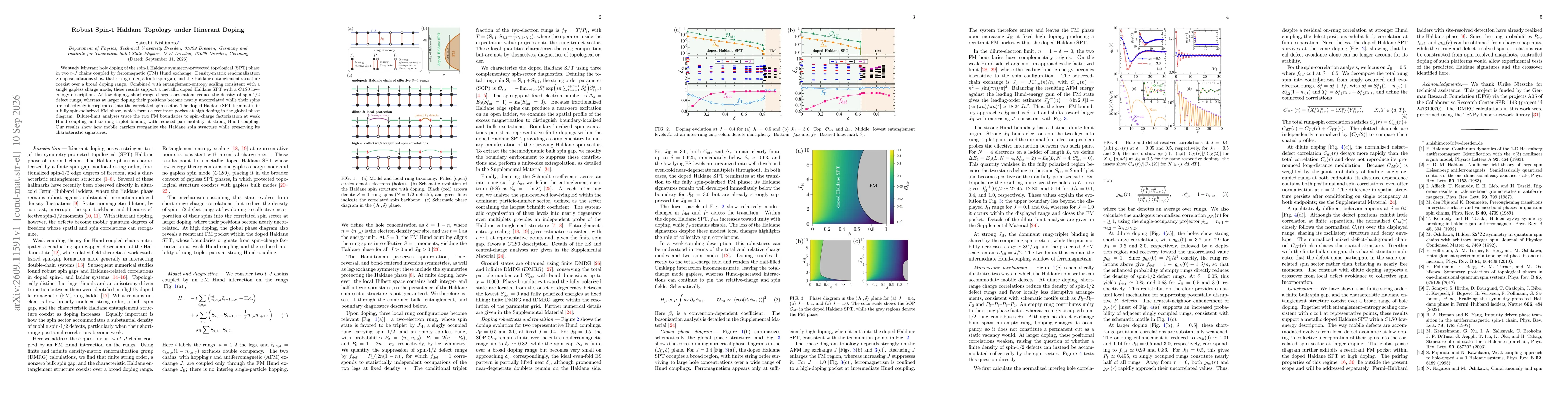Thumbnail for Robust Spin-1 Haldane Topology under Itinerant Doping