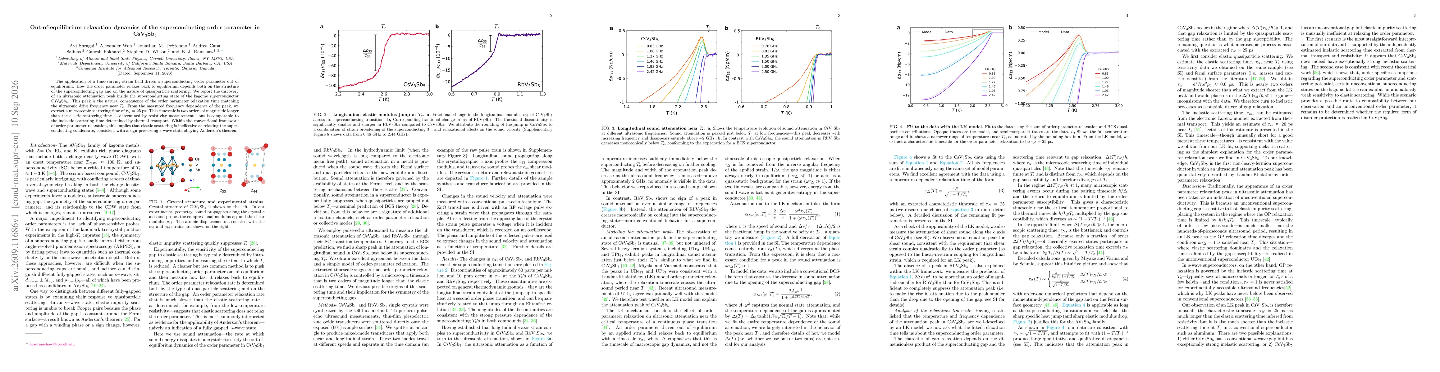 Thumbnail for Out-of-equilibrium relaxation dynamics of the superconducting order parameter in CsV$_3$Sb$_5$