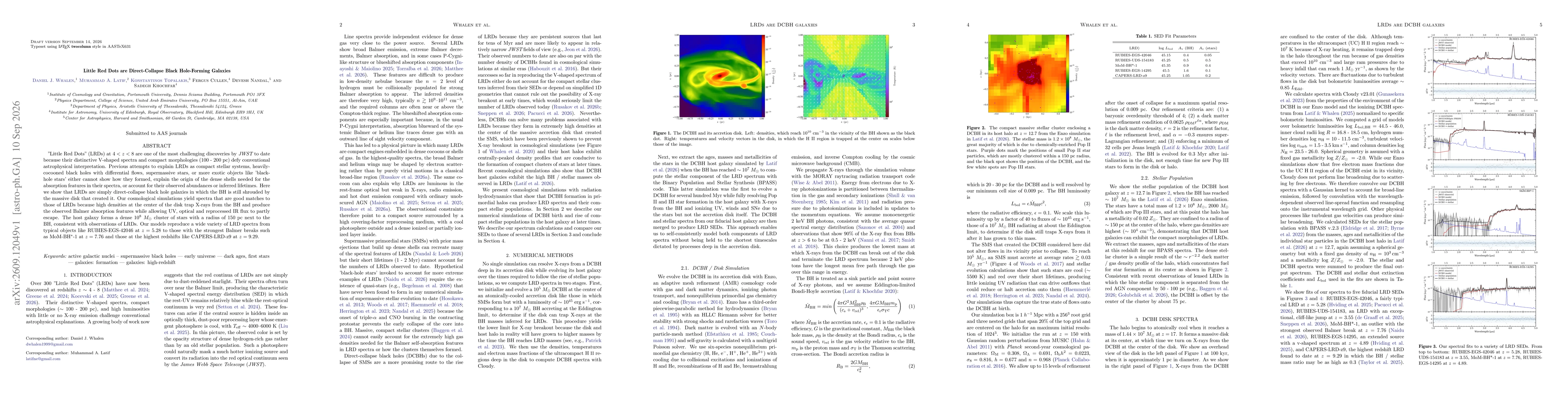 Thumbnail for Little Red Dots are Direct-Collapse Black Hole-Forming Galaxies