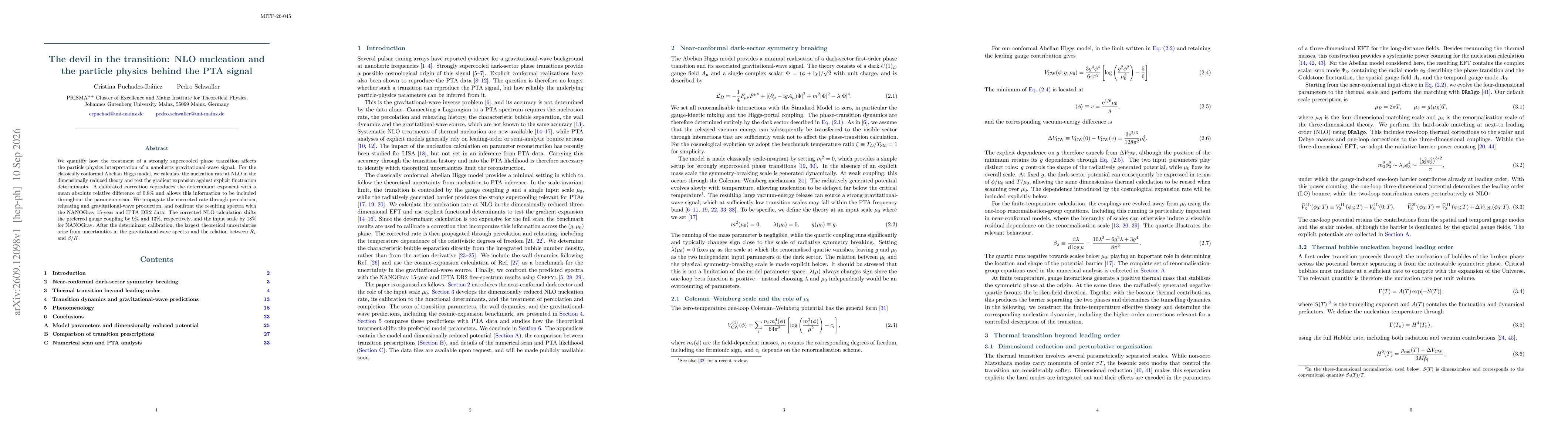Thumbnail for The devil in the transition: NLO nucleation and the particle physics behind the PTA signal