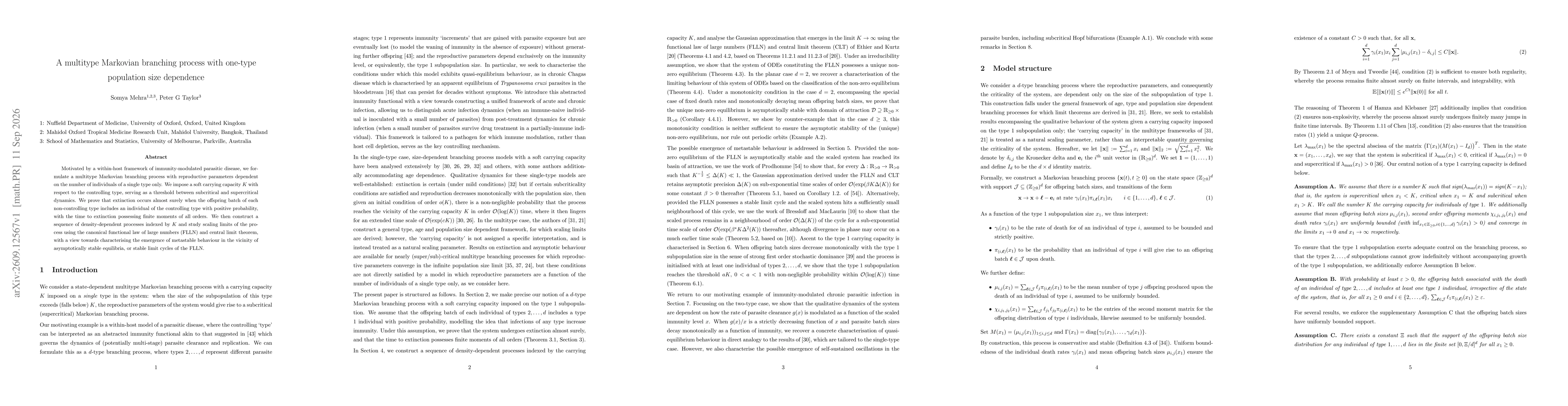 Thumbnail for A multitype Markovian branching process with one-type population size dependence