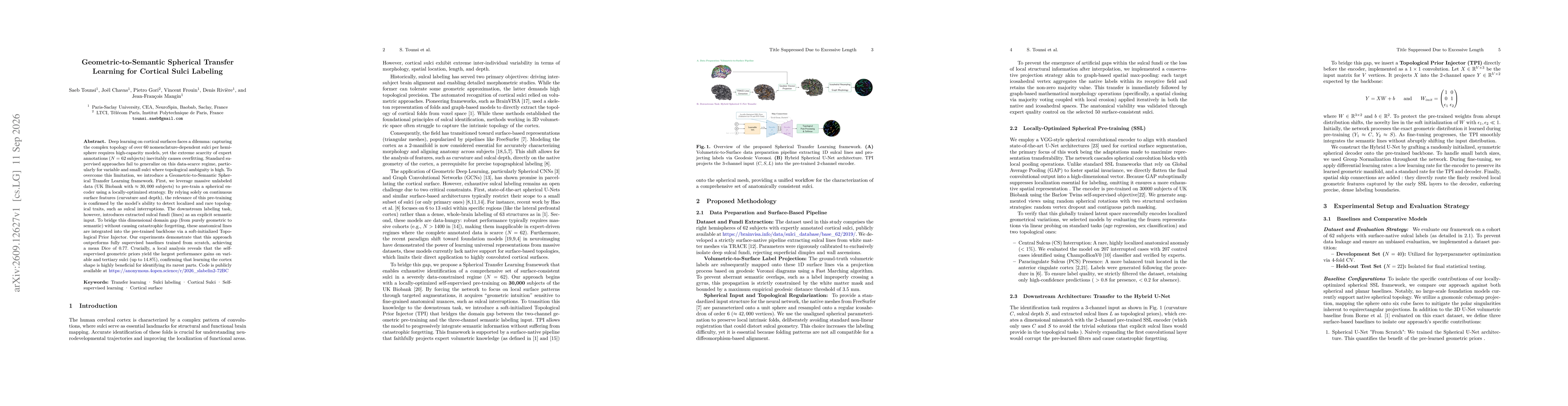 Thumbnail for Geometric-to-Semantic Spherical Transfer Learning for Cortical Sulci Labeling