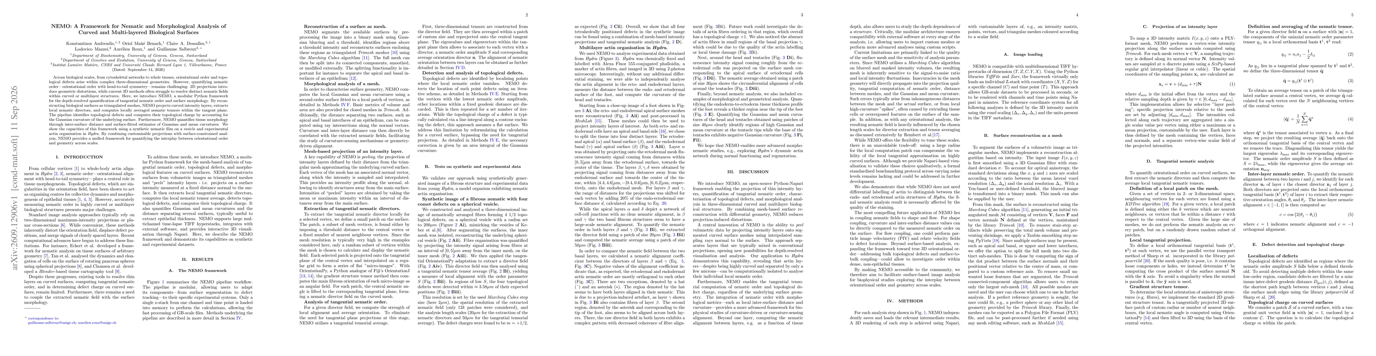 Thumbnail for NEMO: A Framework for Nematic and Morphological Analysis of Curved and Multi-layered Biological Surfaces