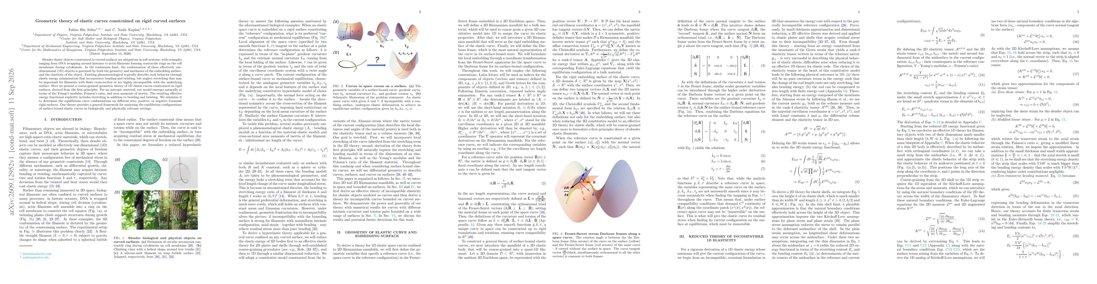 Thumbnail for Geometric theory of elastic curves constrained on rigid curved surfaces