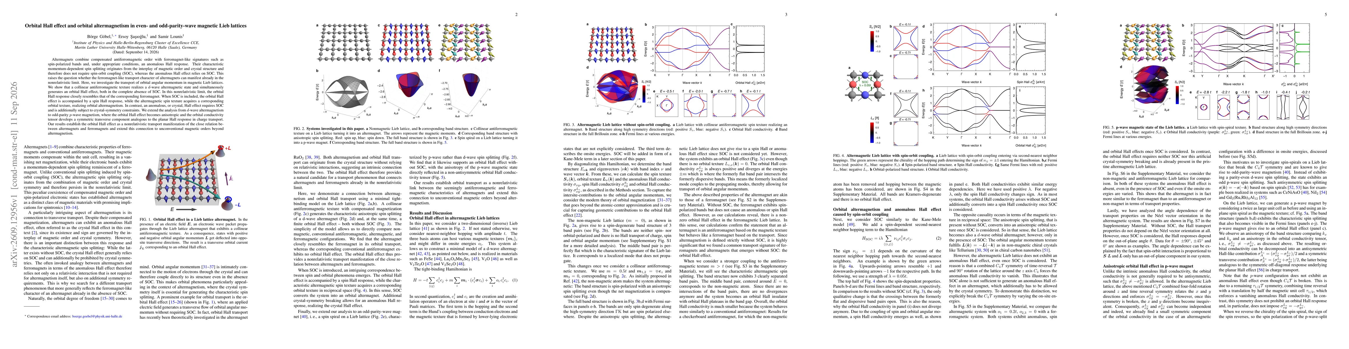Thumbnail for Orbital Hall effect and orbital altermagnetism in even- and odd-parity-wave magnetic Lieb lattices