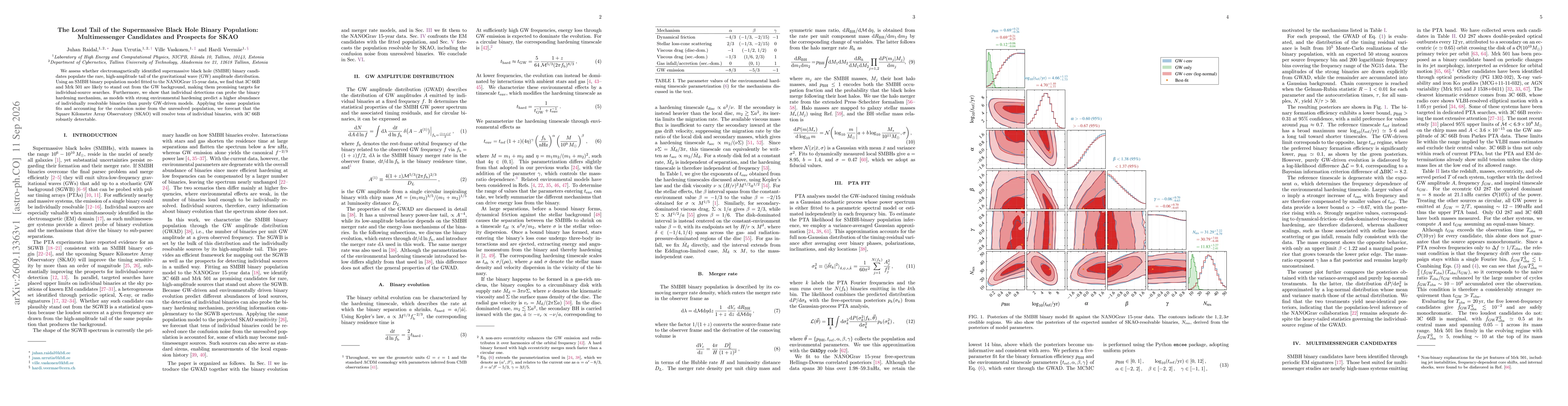 Thumbnail for The Loud Tail of the Supermassive Black Hole Binary Population: Multimessenger Candidates and Prospects for SKAO