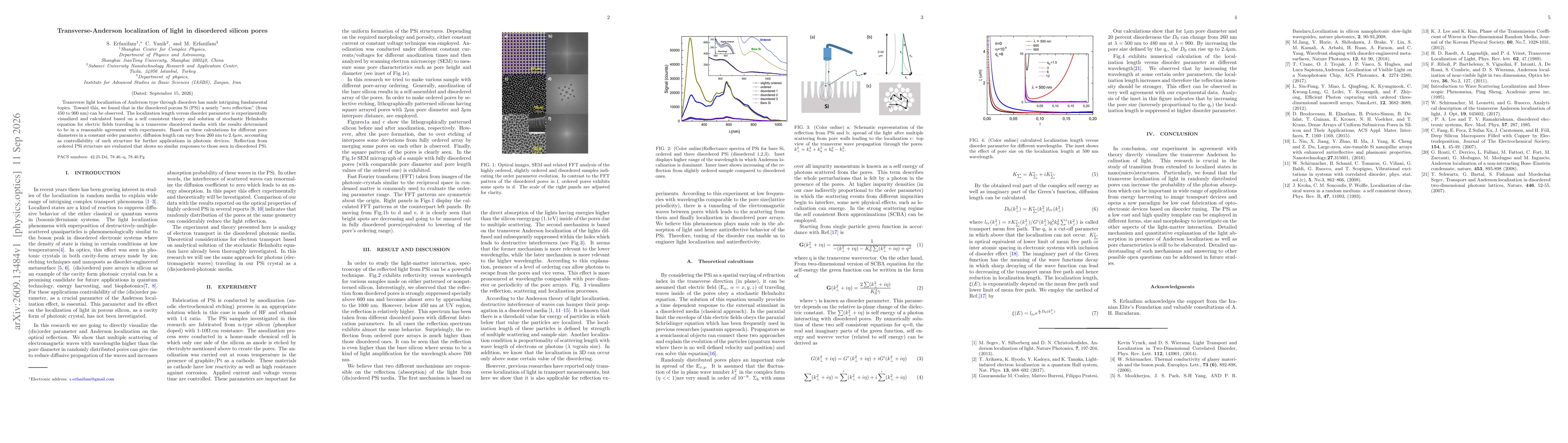 Thumbnail for Transverse-Anderson localization of light in disordered silicon pores