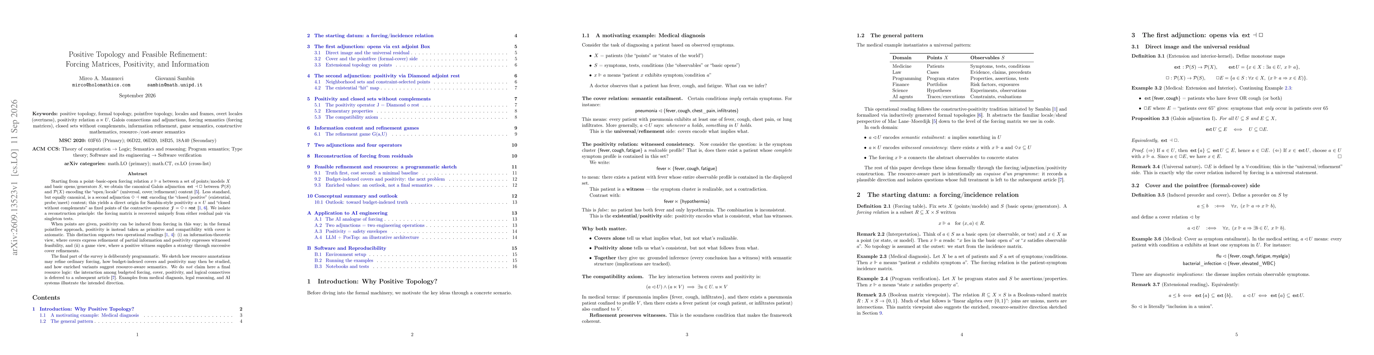 Thumbnail for Positive Topology and Feasible Refinement: Forcing Matrices, Positivity, and Information