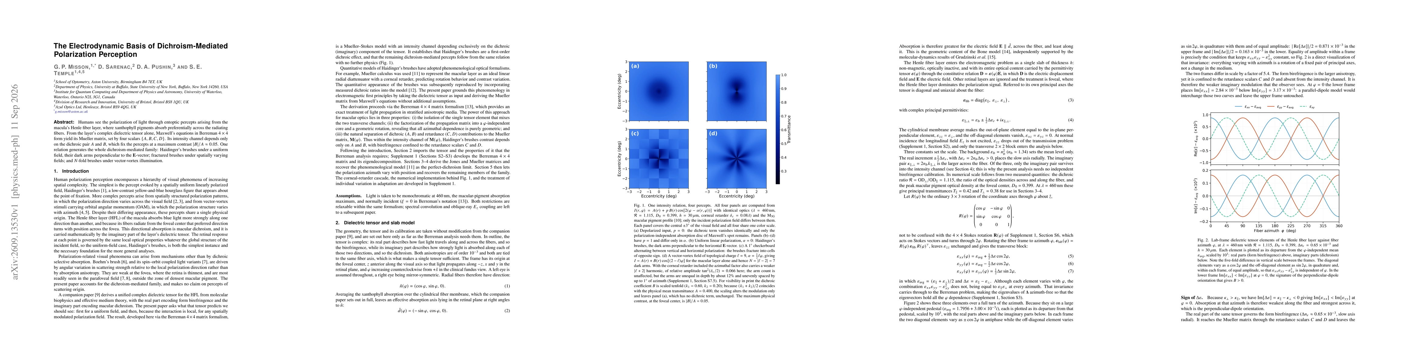 Thumbnail for The Electrodynamic Basis of Dichroism-Mediated Polarization Perception