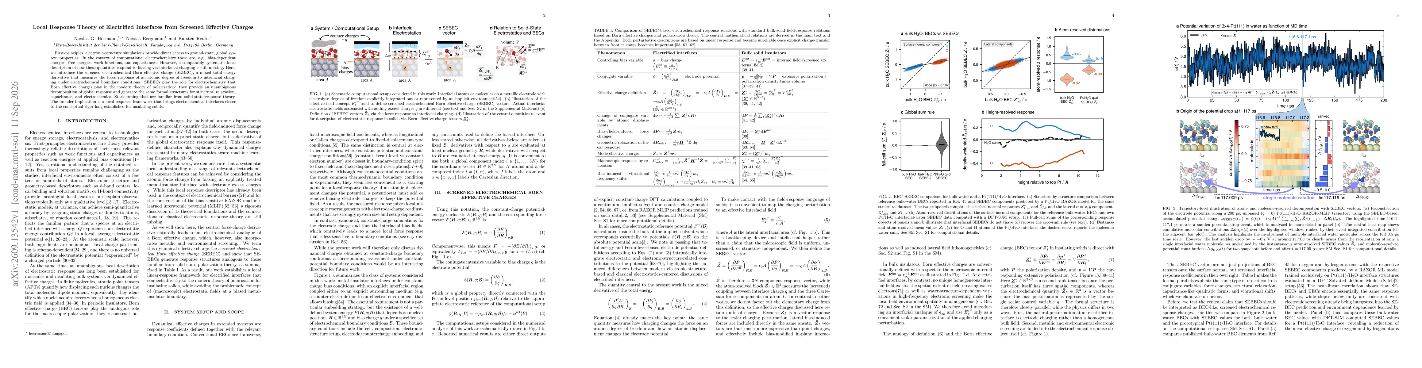 Thumbnail for Local Response Theory of Electrified Interfaces from Screened Effective Charges