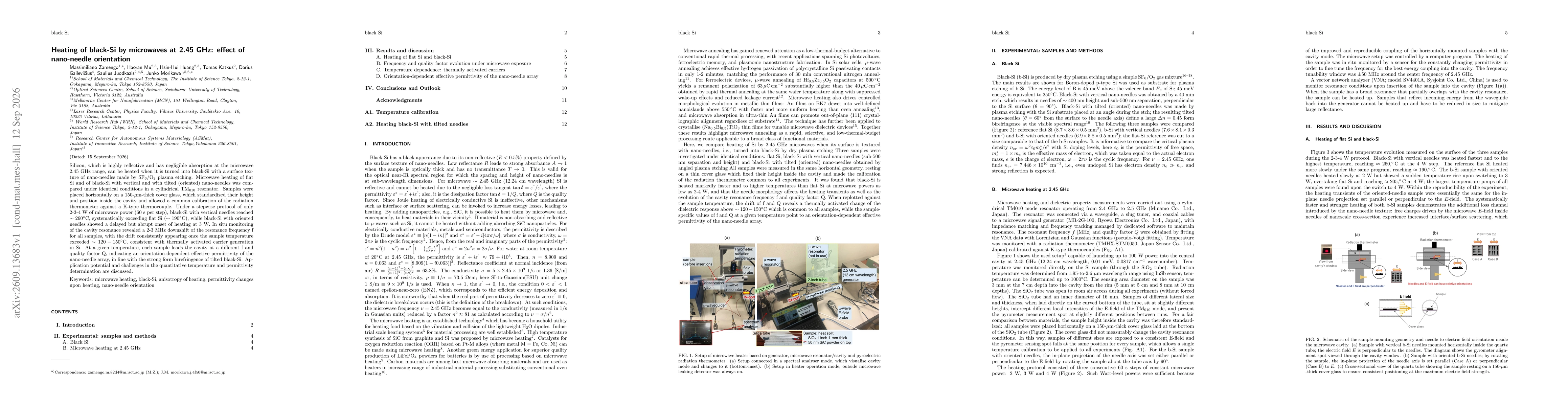 Thumbnail for Heating of black-Si by microwaves at 2.45 GHz: effect of nano-needle orientation