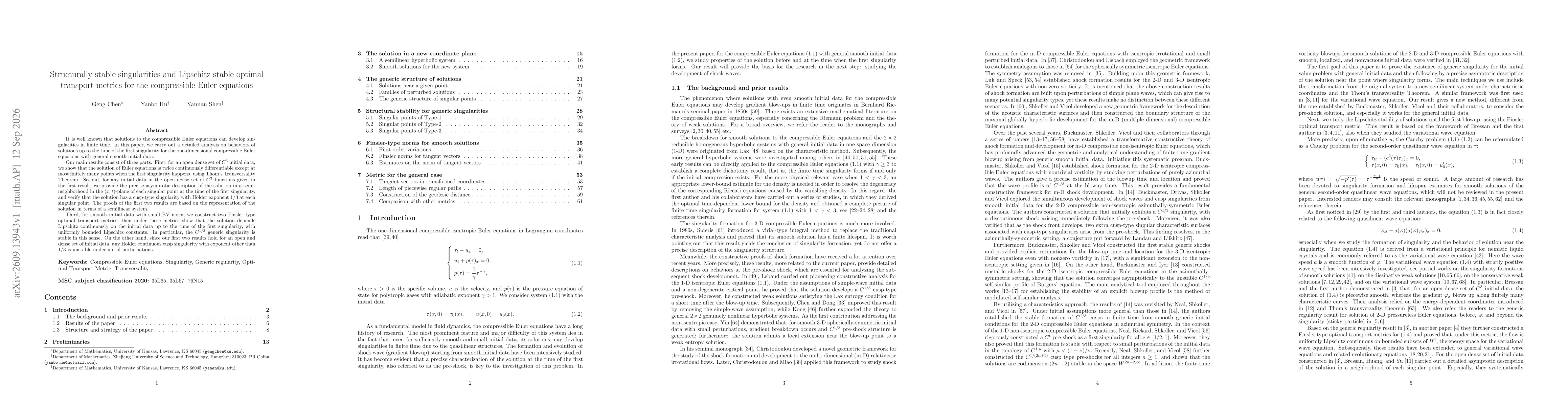 Thumbnail for Structurally stable singularities and Lipschitz stable optimal transport metrics for the compressible Euler equations