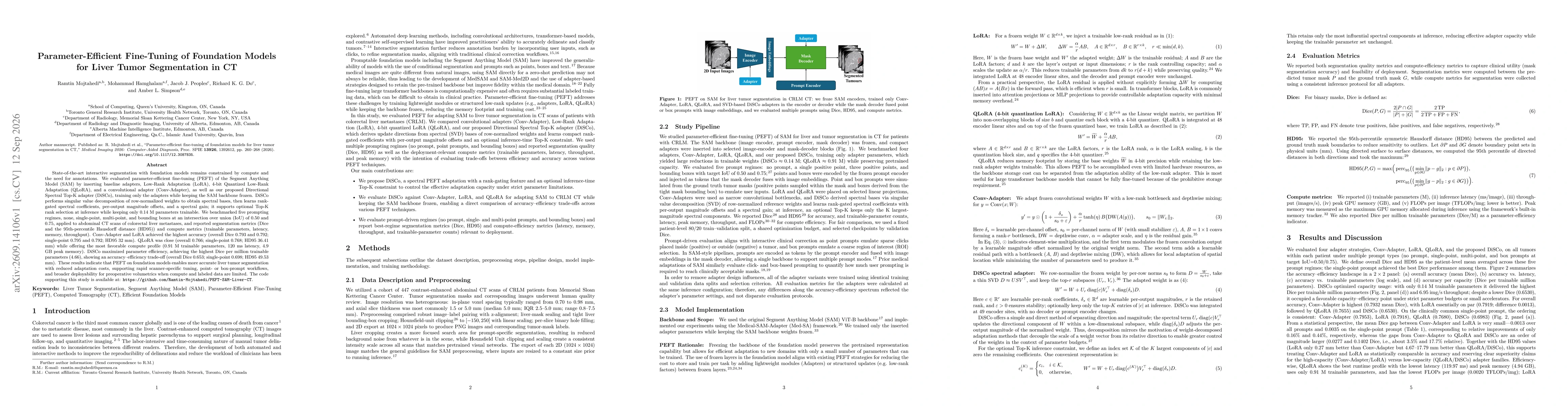 Thumbnail for Parameter-Efficient Fine-Tuning of Foundation Models for Liver Tumor Segmentation in CT