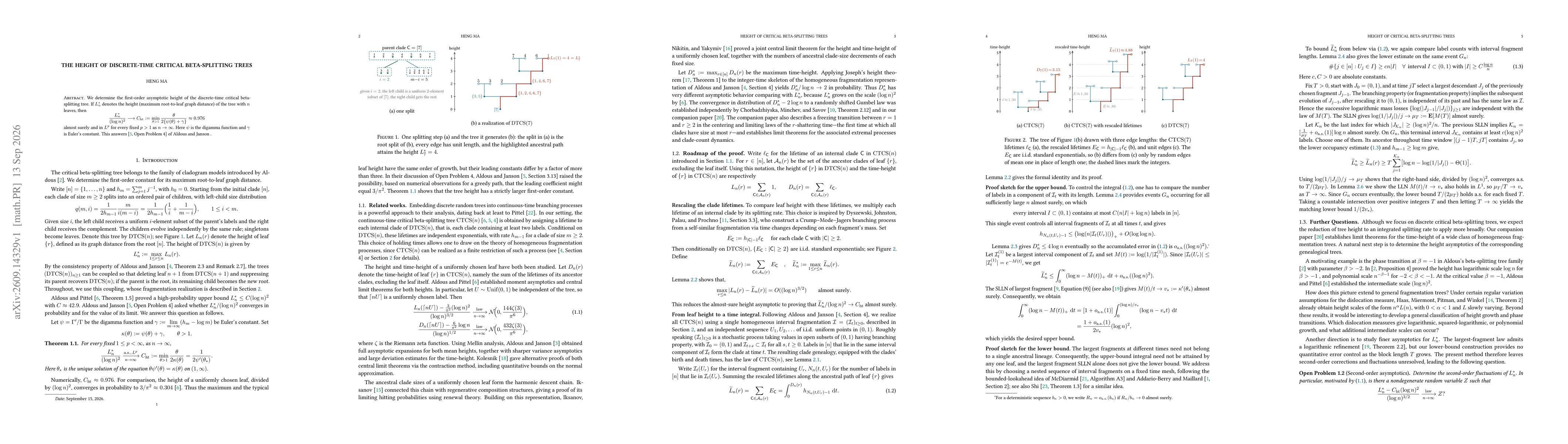 Thumbnail for The height of discrete-time critical beta-splitting trees