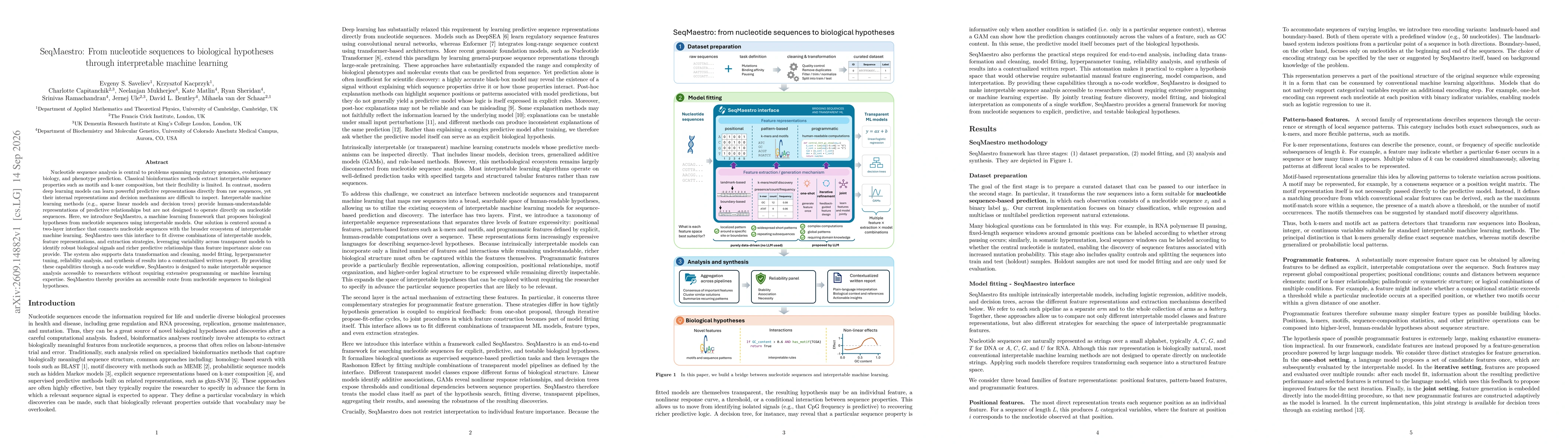 Thumbnail for SeqMaestro: From nucleotide sequences to biological hypotheses through interpretable machine learning