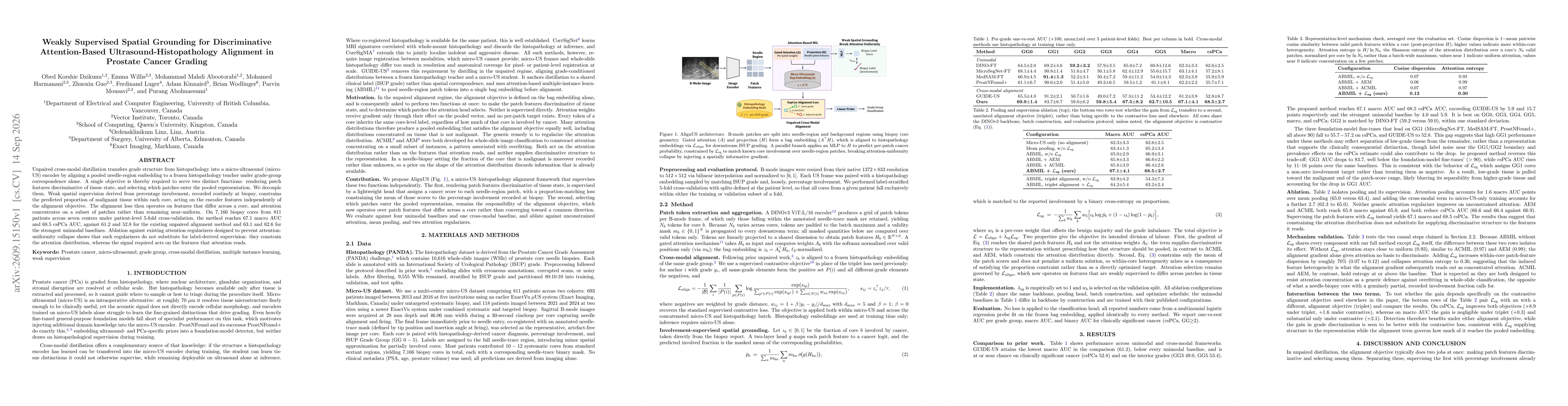 Thumbnail for Weakly Supervised Spatial Grounding for Discriminative Attention-Based Ultrasound-Histopathology Alignment in Prostate Cancer Grading
