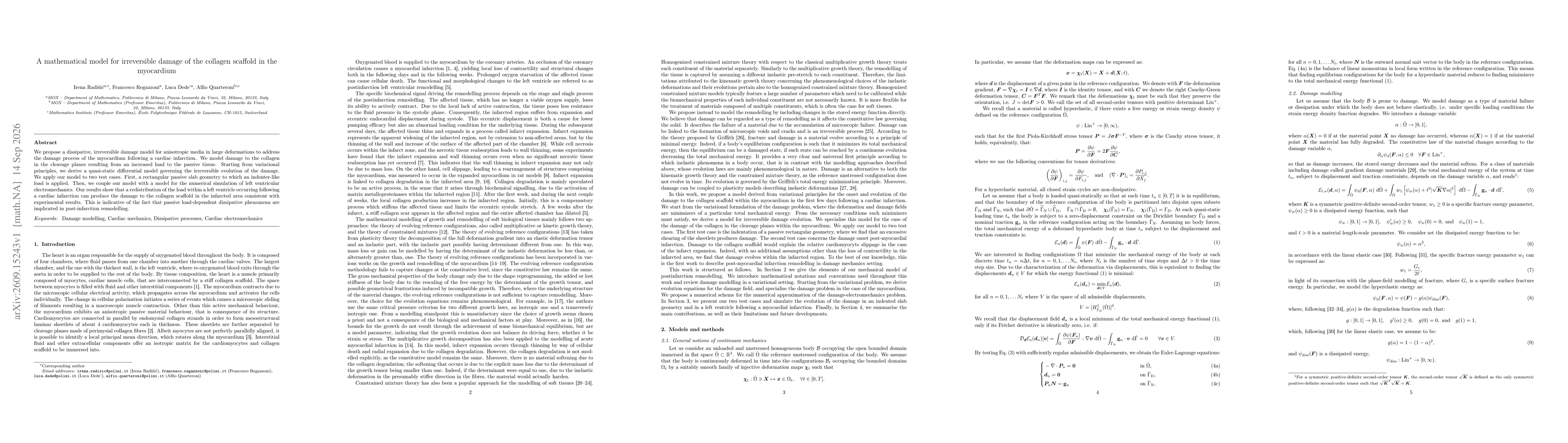 Thumbnail for A mathematical model for irreversible damage of the collagen scaffold in the myocardium
