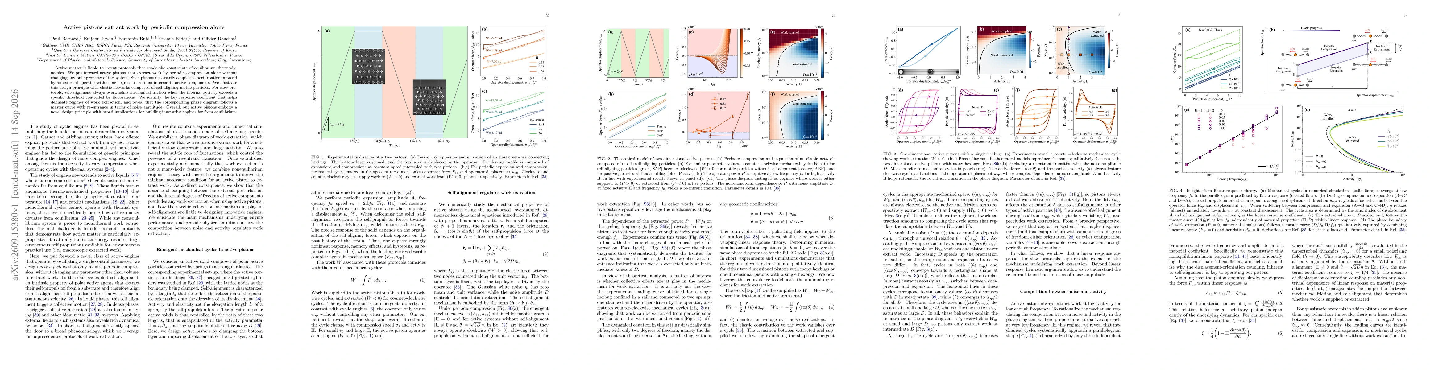 Thumbnail for Active pistons extract work by periodic compression alone