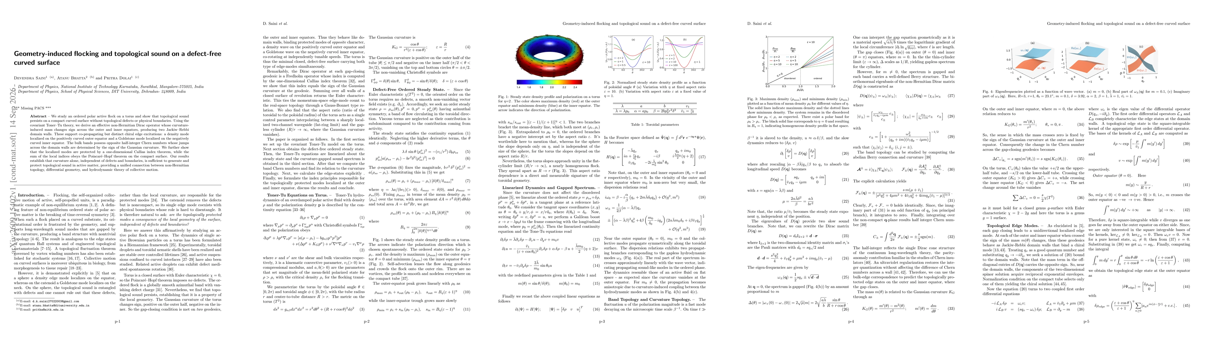 Thumbnail for Geometry-induced flocking and topological sound on a defect-free curved surface
